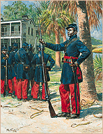 1st South Carolina Volunteer Infantry