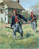 Tiger Rifles